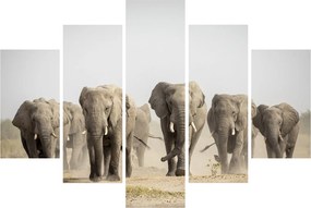 Kép - Elefántcsorda (150x105 cm)