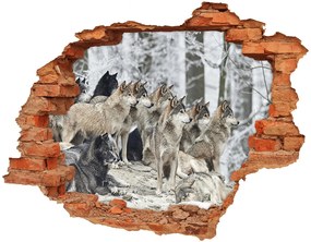 Lyuk 3d fali matrica Matrica wolves télen nd-c-171243935