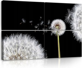 Vászonkép 120x80 Pitypang mag pitypang természet makro könnyedség nyár