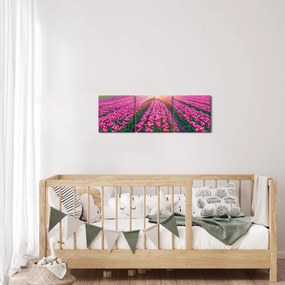 Tulipán mező és a nap képe (órával) (90x30 cm)