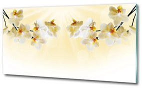 Egyedi üvegkép Orchidea osh-72852358