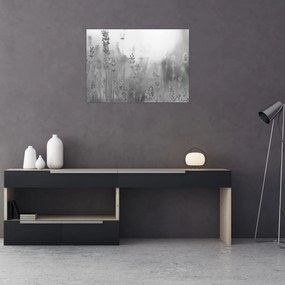 Üveg kép - Levendula (70x50 cm)