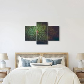 Kép - Fenyőfa részlete (90x60 cm)