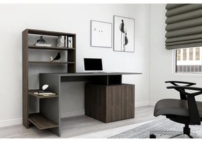 Íróasztal Melis - Walnut, Anthracite