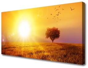 Vászonkép nyomtatás Sunset Meadow Madarak 100x50 cm