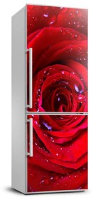 Hűtő matrica Vörös rózsa FridgeStick-70x190-f-100979783