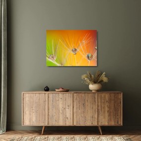 Cseppek a növényen képe (üvegen) (70x50 cm)