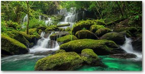 Fotó üvegkép Vízesés az erdőben 140x70