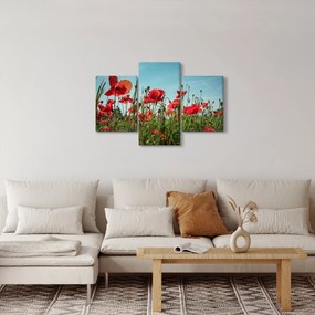 Kép - Pipacsos mező (90x60 cm)