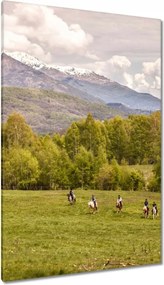 Vászonkép 80x120 Lovas kirándulás a hegyekbe