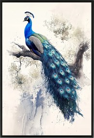 Poszter Keret Alumínium Grafika Természet Madár Kék Páva Toll 40x60