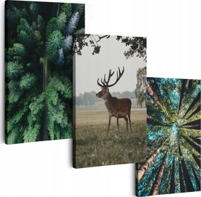 Vászonkép 180 cm **többféle minta** 3 Db Nappali Falikép