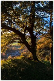 Poszterek 80x120 Kilátás a völgyre