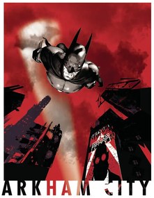 Művészi plakát Batman Arkham City - Flight