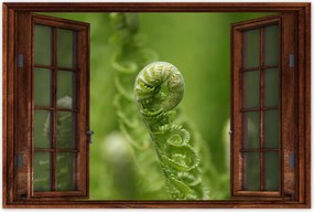 Poszterek 120x80 Páfrányok Erdő Zöld levél