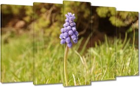 Vászonkép 100x60 Lila virág