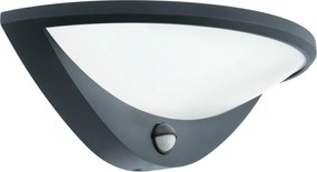 Eglo kültéri fali lámpa Belcreda 97312