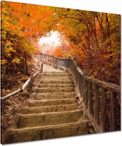 Vászonkép 80x80 Őszi séta Lépcsők