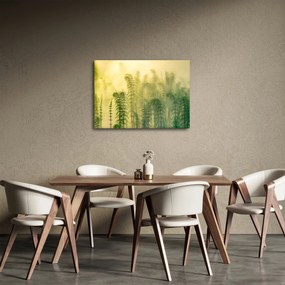 Kép - Részlet a tavaszi ködös természetből (70x50 cm)