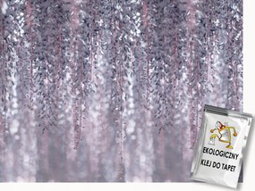 Fotótapéta Flizelina Wisteria Glicinia Virágok Szürke Rózsaszín 300x210 ragasztó