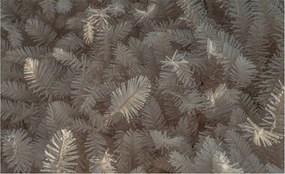 Divatos Flizelin Tapéta Fali Furnér Ágak 416x254 Ragasztó