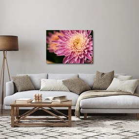 Részletes virágkép (70x50 cm)