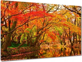 Festmények 120x80 Őszi tájkép folyóval