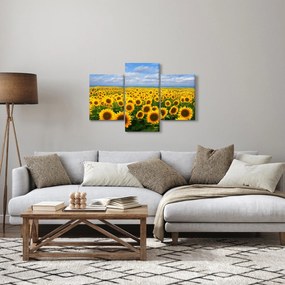 A napraforgó mező képe (90x60 cm)