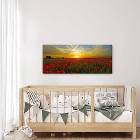 Egy kép a pipacs mezőről (120x50 cm)
