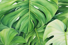 Poszter 60x40cm A levelek titkai