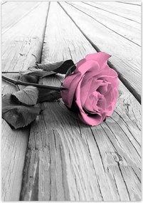 Poszterek 70x100 Rózsa világos deszkákon