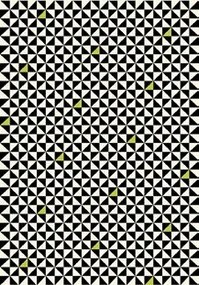 Flash Divatos Szőnyeg Fantastik 160X225 CM