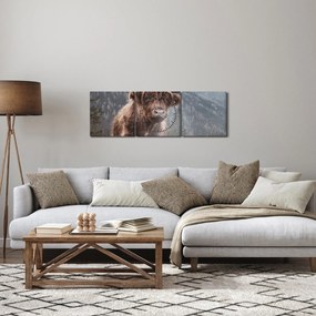 Kép - Highlander tehén (órával) (90x30 cm)