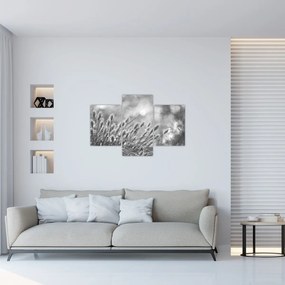 Kép - Bézs színű puha fű N⁰1 (90x60 cm)