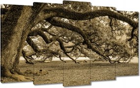 Festmények 100x60 Erőteljes tölgy