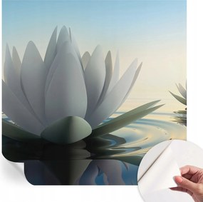 Öntapadós fotótapéta Nappaliba és Hálószobába Vízililiomok 250x250 cm