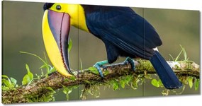 Vászonkép 180x90 Madarak