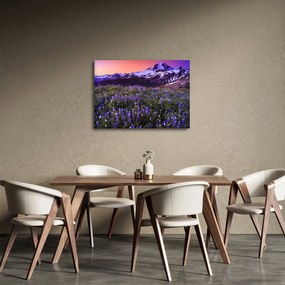Kép - Vulkán és a virágok (70x50 cm)