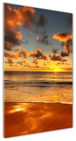 Üvegfotó Ausztrál strand osv-40275478