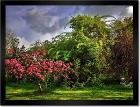 Poszterek keretben 40x30 Tájkép