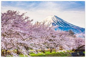 Kép - Japán tavasszal (90x60 cm)