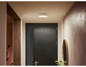 Philips Hue ENRAVE S LED 9,6W 230V dimm. lámpa, 261 mm, fehér + távirányító