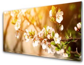 Akrilüveg fotó Virág növény természet 100x50 cm