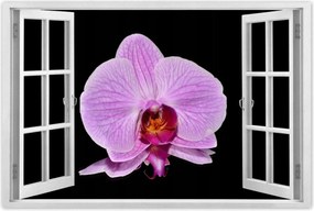 Poszter 60x40 Lila orchidea