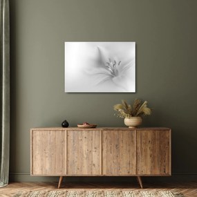 Üveg kép - Delicate Lily (70x50 cm)