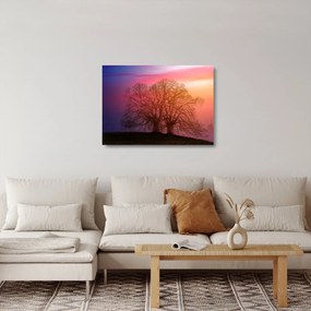 Fák a ködben (üvegen) (70x50 cm)