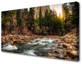 Vászonkép nyomtatás Forest Lake Nature Víz 125x50 cm