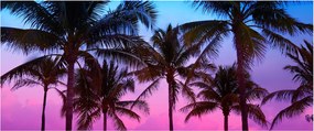Kép - Pálmafák Miamiban (120x50 cm)