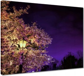 Vászonkép 50x40 Éjszakai motívum a nappaliba