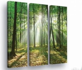 Vászonkép 90x100 Erdő napsugarak fény az erdőben természet zöld fák